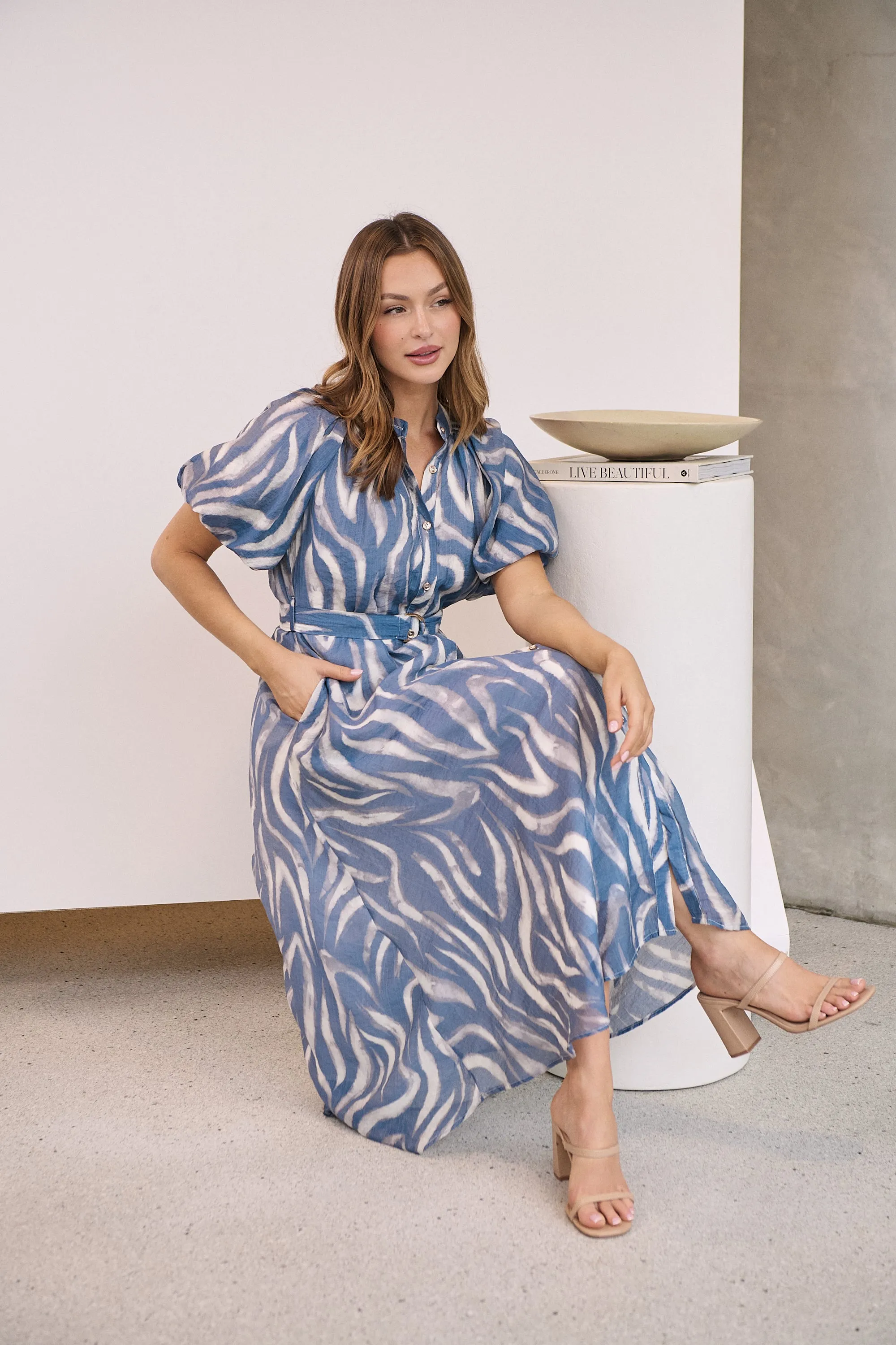 Liana Navy Blue Cream Print Puff Sleeve Button Front Midi Dress